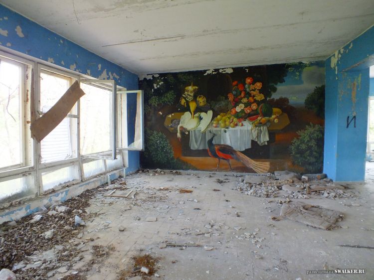 Заброшенное общежитие и столовая, Воронежская область