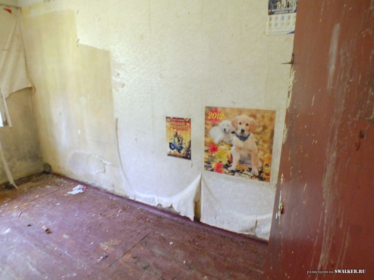 Заброшенное общежитие и столовая, Воронежская область