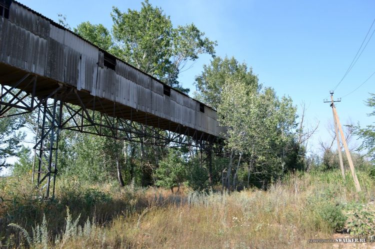 Семикаракорский консервный завод