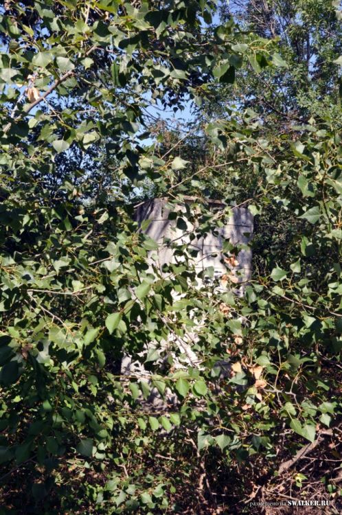 Семикаракорский консервный завод