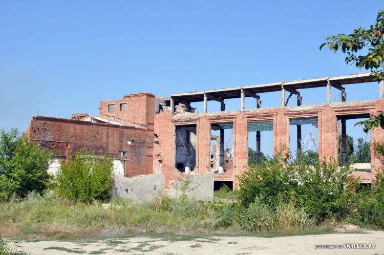 Семикаракорский консервный завод