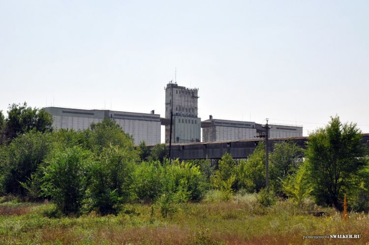 Семикаракорский консервный завод