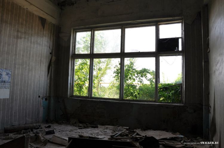 Семикаракорский консервный завод