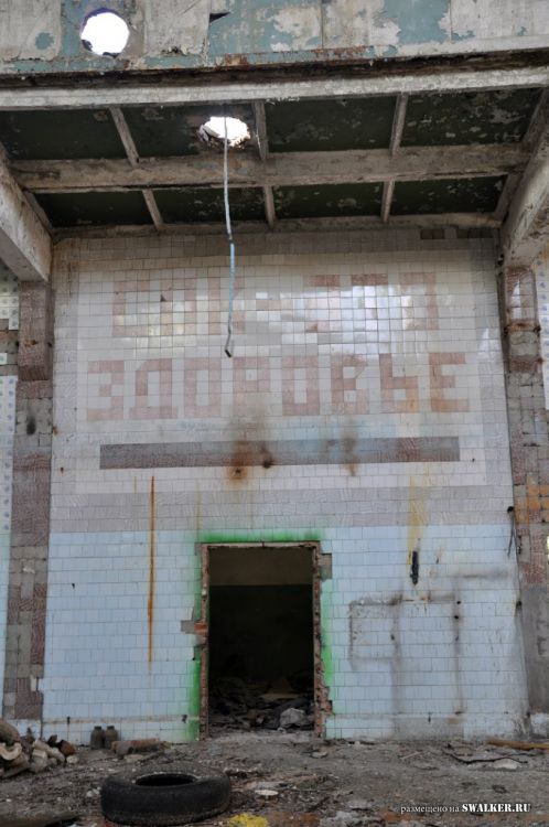 Семикаракорский консервный завод