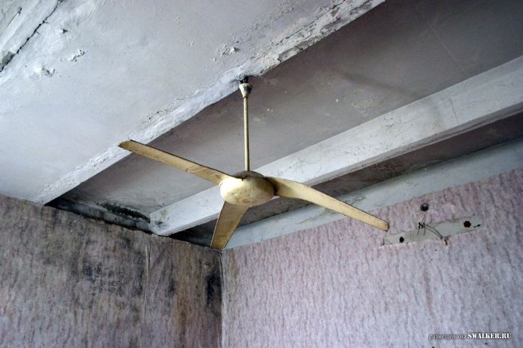 Семикаракорский консервный завод