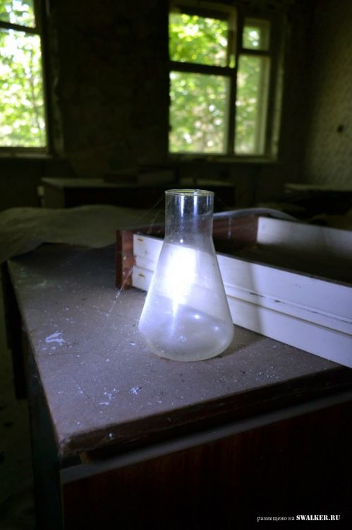 Семикаракорский консервный завод