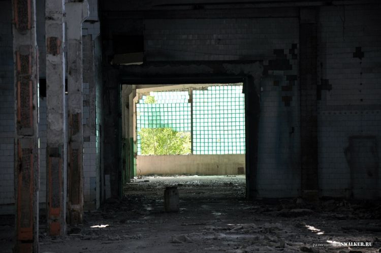 Семикаракорский консервный завод