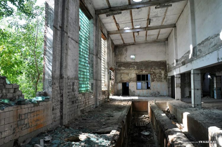 Семикаракорский консервный завод