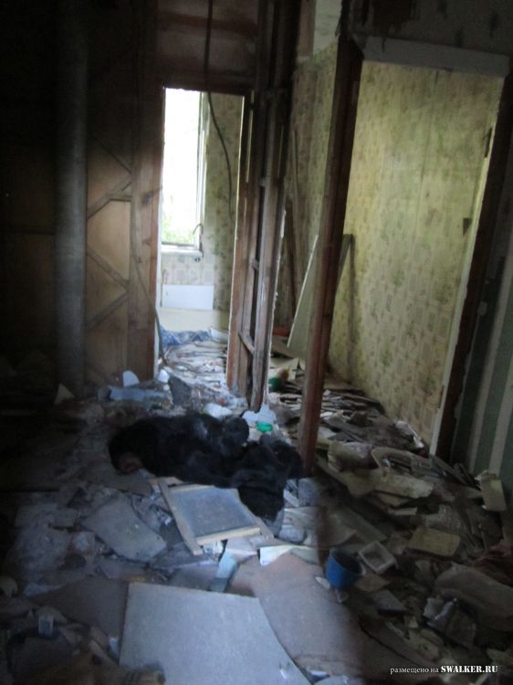 Брошенные пятиэтажки, Саратов