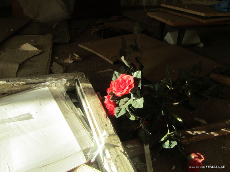 Брошенные пятиэтажки, Саратов