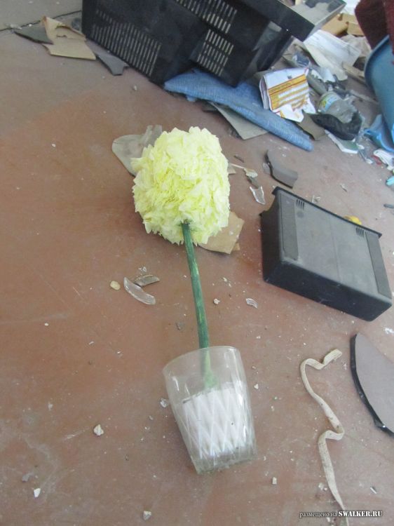 Брошенные пятиэтажки, Саратов