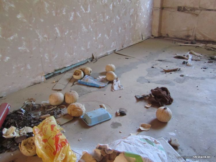 Брошенные пятиэтажки, Саратов