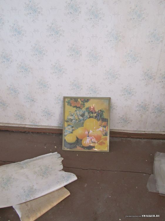 Брошенные пятиэтажки, Саратов