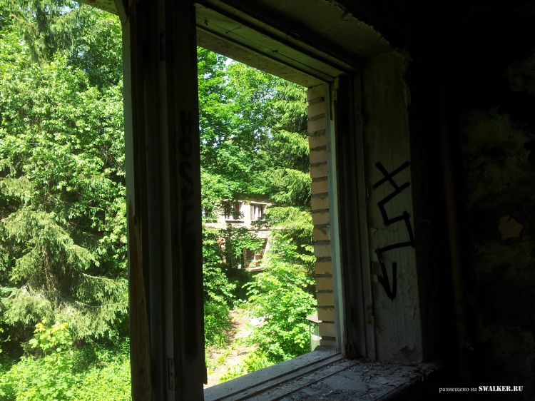 Брошенный лагерь, Московская область