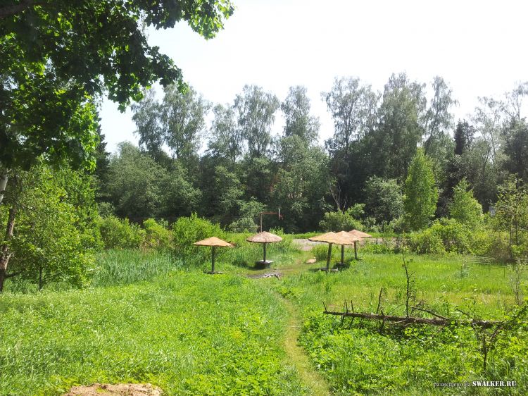 Брошенный лагерь, Московская область