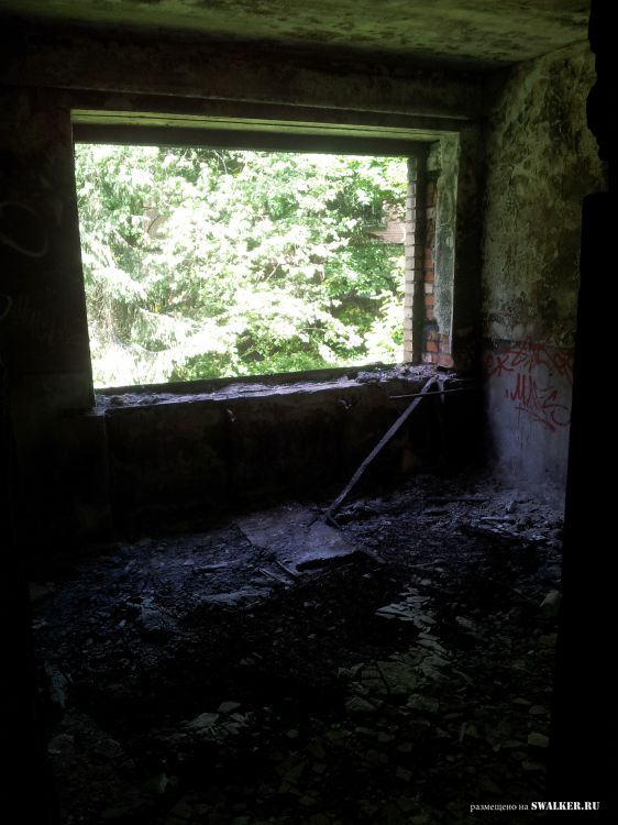 Брошенный лагерь, Московская область