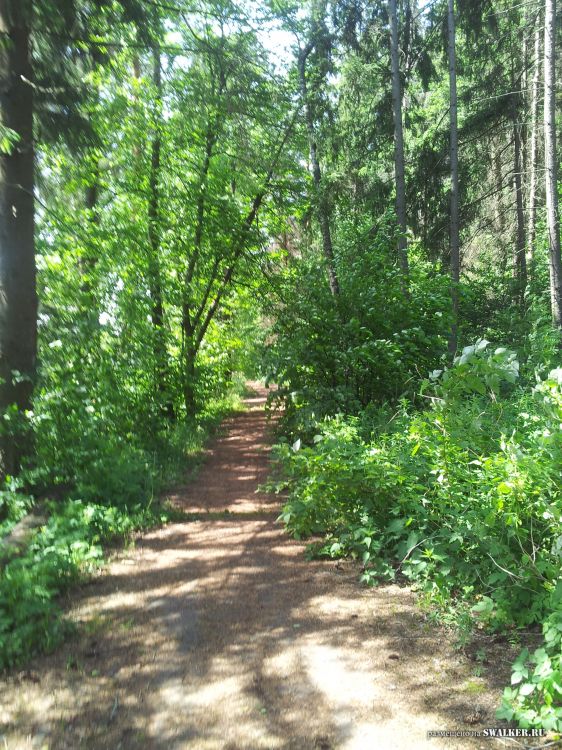 Брошенный лагерь, Московская область