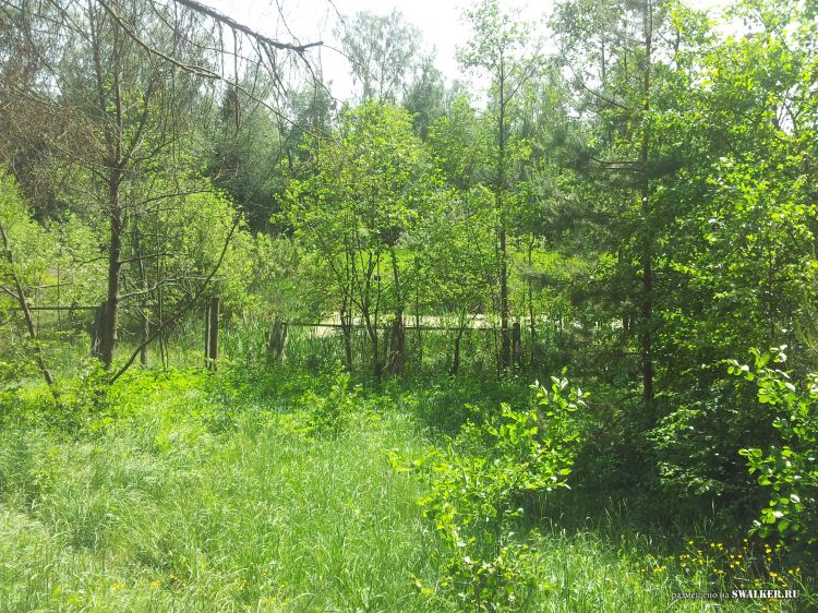 Брошенный лагерь, Московская область