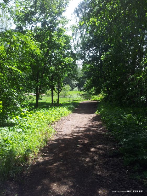 Брошенный лагерь, Московская область