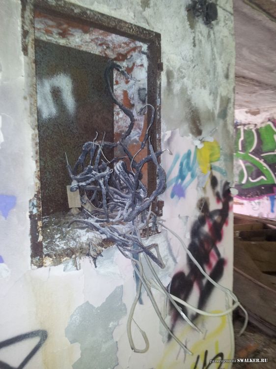 Брошенный лагерь, Московская область