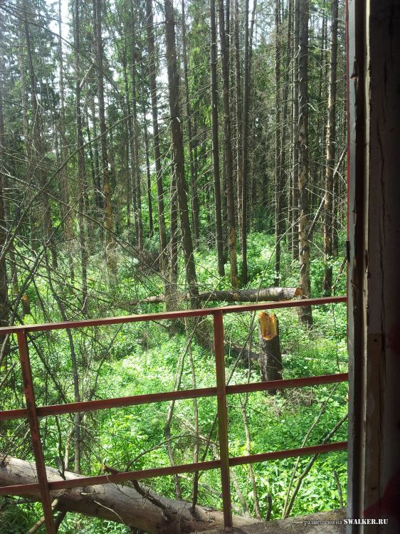 Брошенный лагерь, Московская область