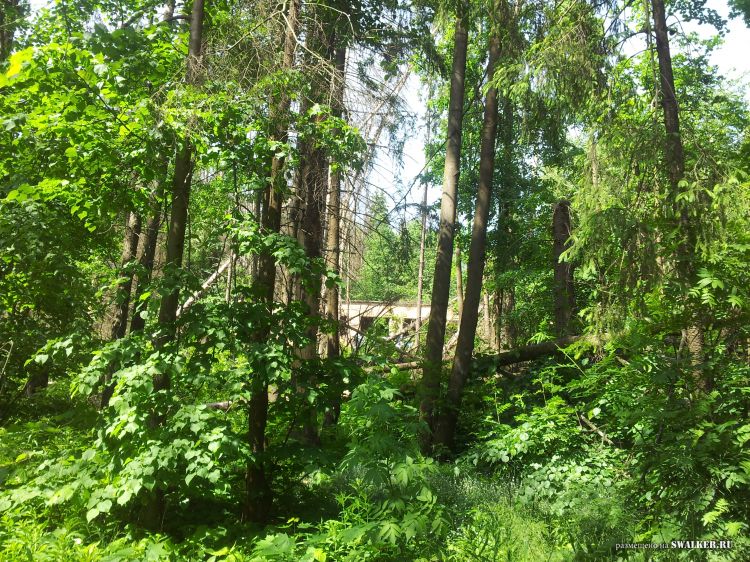 Брошенный лагерь, Московская область