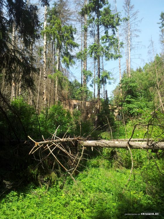 Брошенный лагерь, Московская область