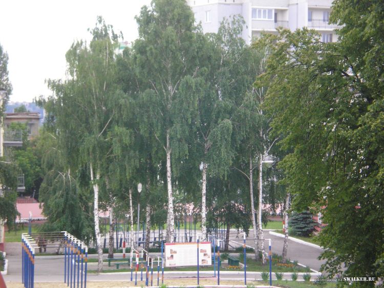 Саратовский Военный Институт РХБЗ Саратовский Военный Институт РХБЗ