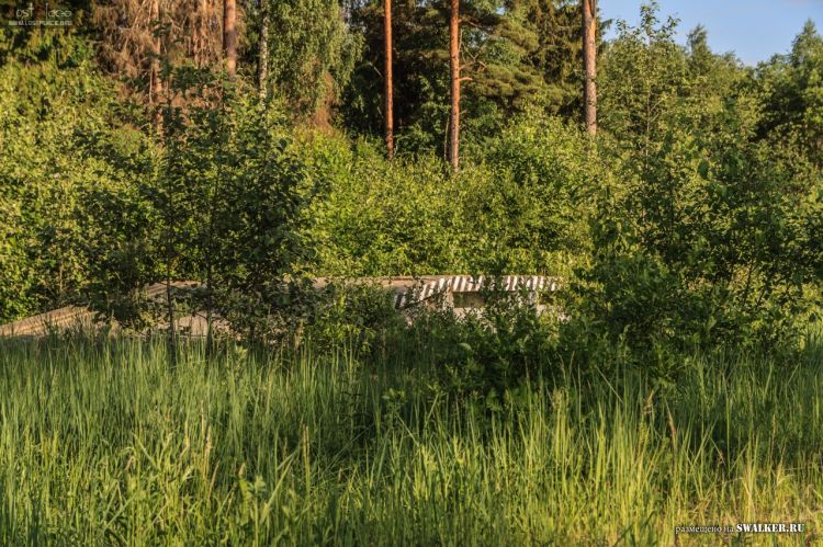 БЖРК. Костромская область. (Часть 2)