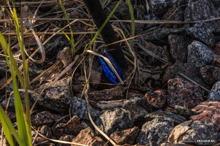 БЖРК. Костромская область. (Часть 2)