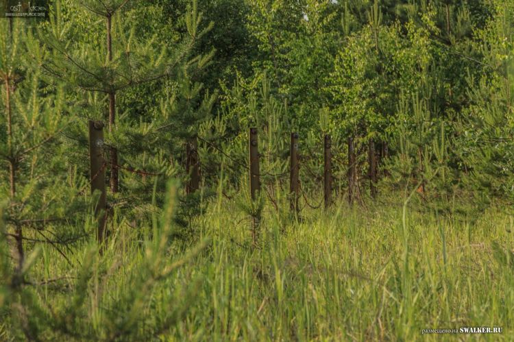 БЖРК. Костромская область. (Часть 2)