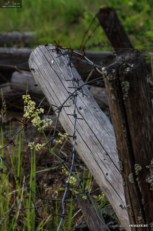 БЖРК. Костромская область. (Часть 2)
