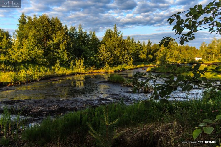 БЖРК. Костромская область. (Часть 2)
