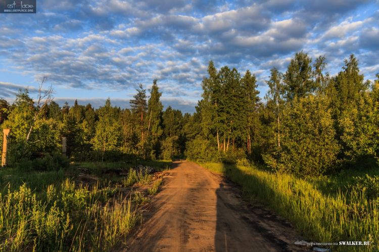 БЖРК. Костромская область. (Часть 2)