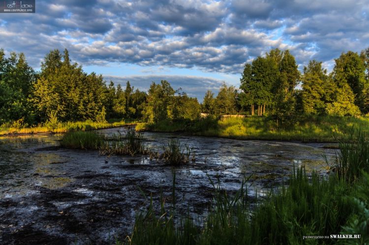 БЖРК. Костромская область. (Часть 2)