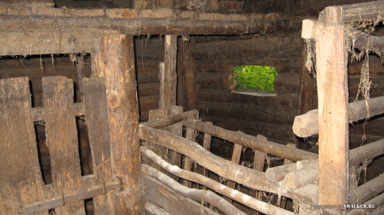 Заброшенная деревня  Малые Осинки, Владимирская область