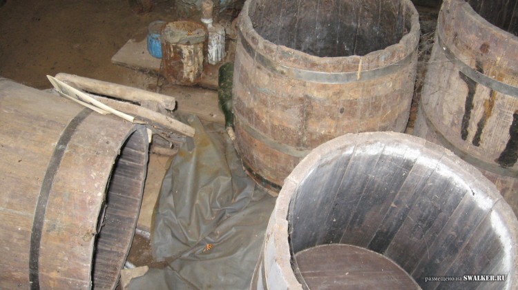 Заброшенная деревня  Малые Осинки, Владимирская область