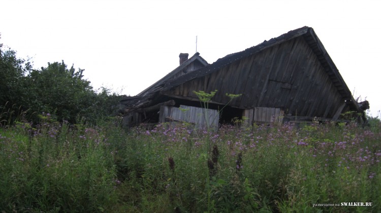 Заброшенная деревня  Малые Осинки, Владимирская область