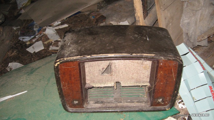 Заброшенная деревня  Малые Осинки, Владимирская область