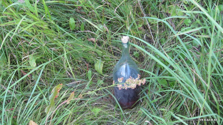 Заброшенная деревня  Малые Осинки, Владимирская область