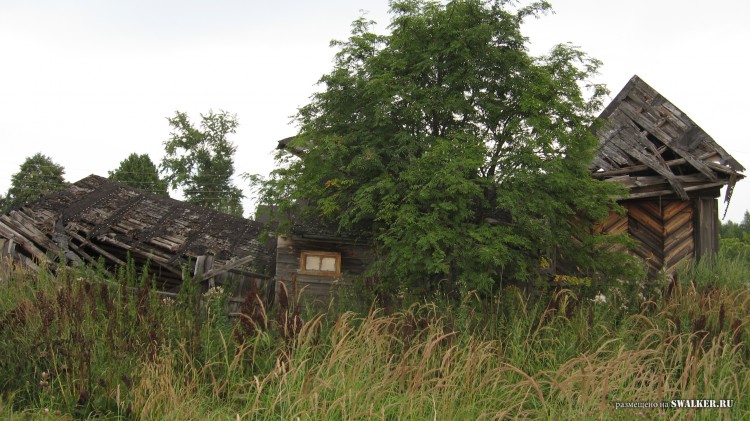Заброшенная деревня  Малые Осинки, Владимирская область