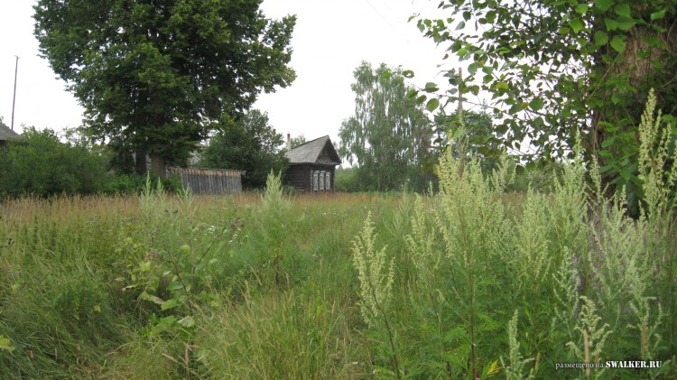 Заброшенная деревня  Малые Осинки, Владимирская область
