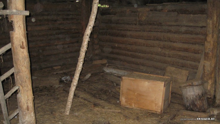 Заброшенная деревня  Малые Осинки, Владимирская область