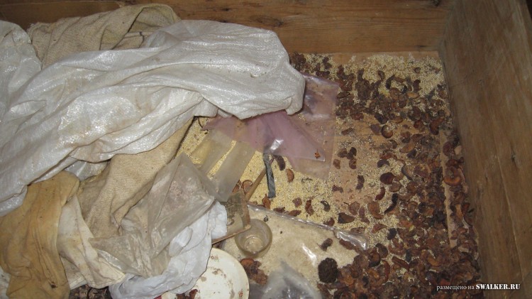 Заброшенная деревня  Малые Осинки, Владимирская область