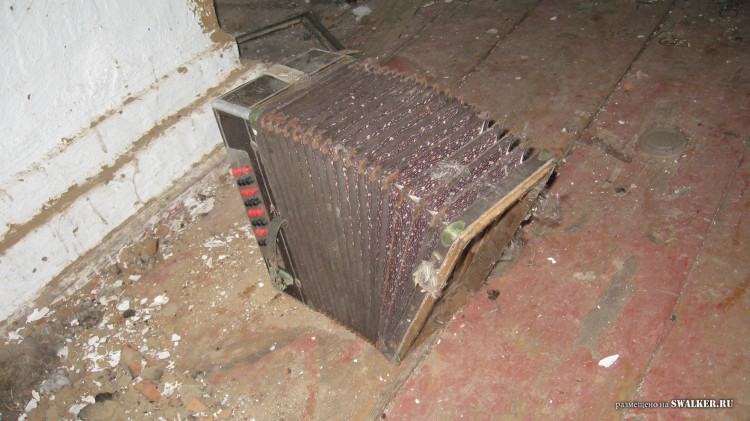 Заброшенная деревня  Малые Осинки, Владимирская область