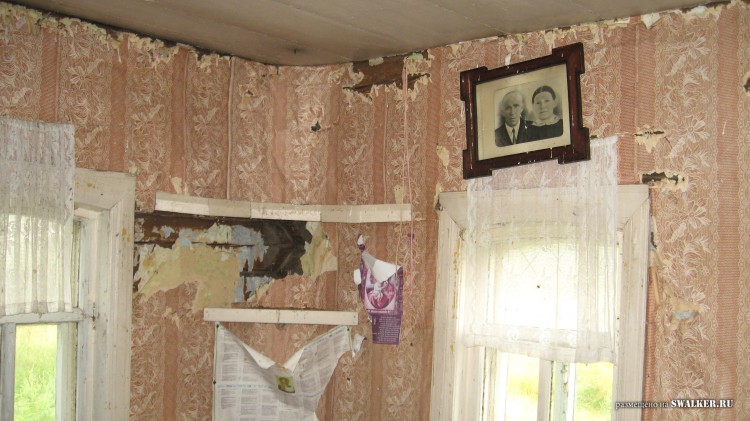 Заброшенная деревня  Малые Осинки, Владимирская область