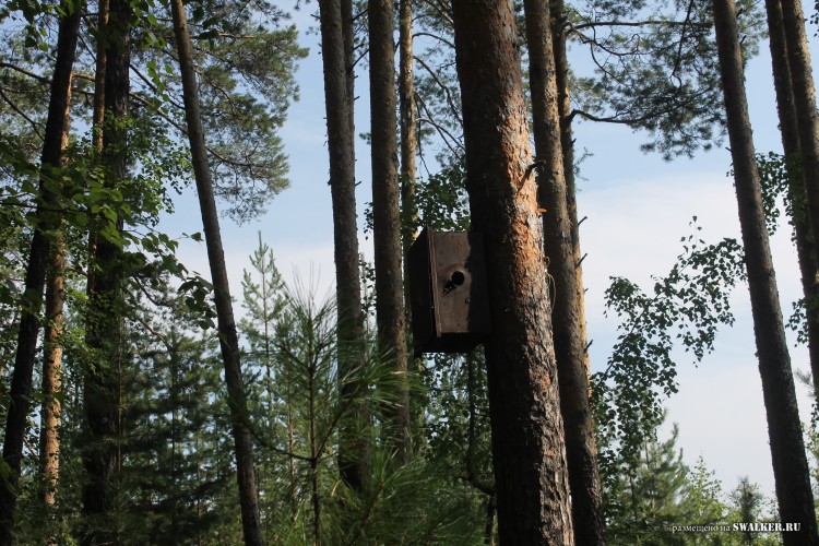 Припять по-уральски 3. Турбаза ИЗУМРУД