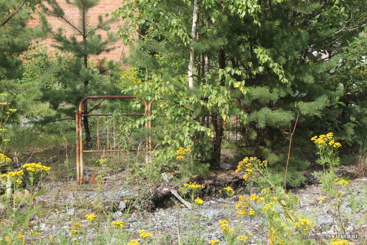 Припять по-уральски 3. Турбаза ИЗУМРУД