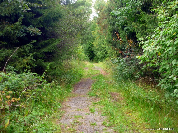 Пионерский лагерь ОГОНЁК,  Московская область