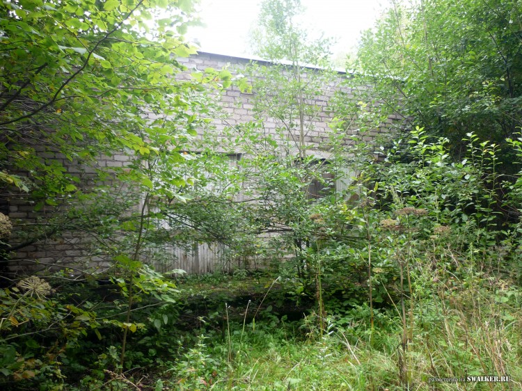 Пионерский лагерь ОГОНЁК,  Московская область